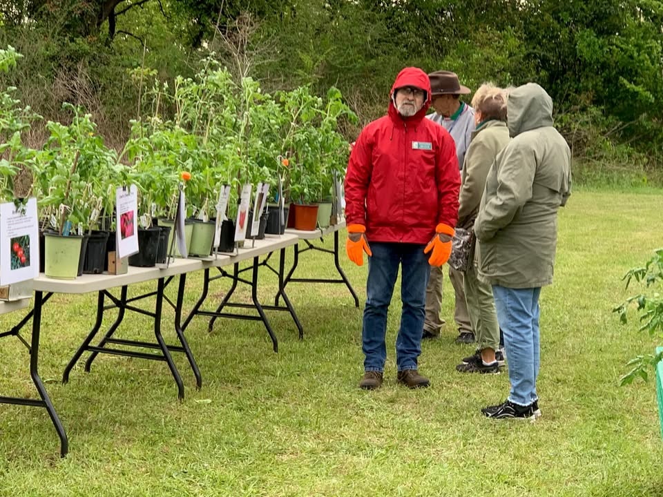 Edible Plant Sale with Escambia Master Gardener Volunteers