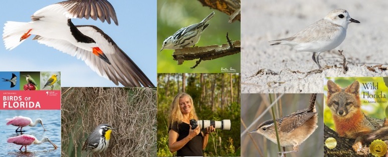Bird & Wildlife Photography Workshop with Author Kirsten Hines