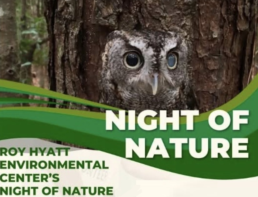 Night of Nature