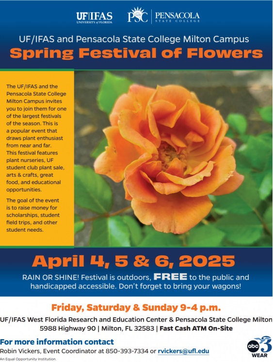 Annual Spring Festival of Flowers