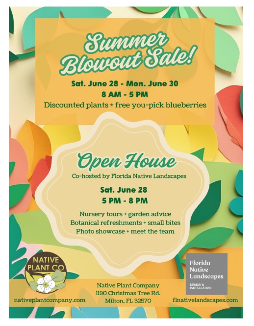 Open House