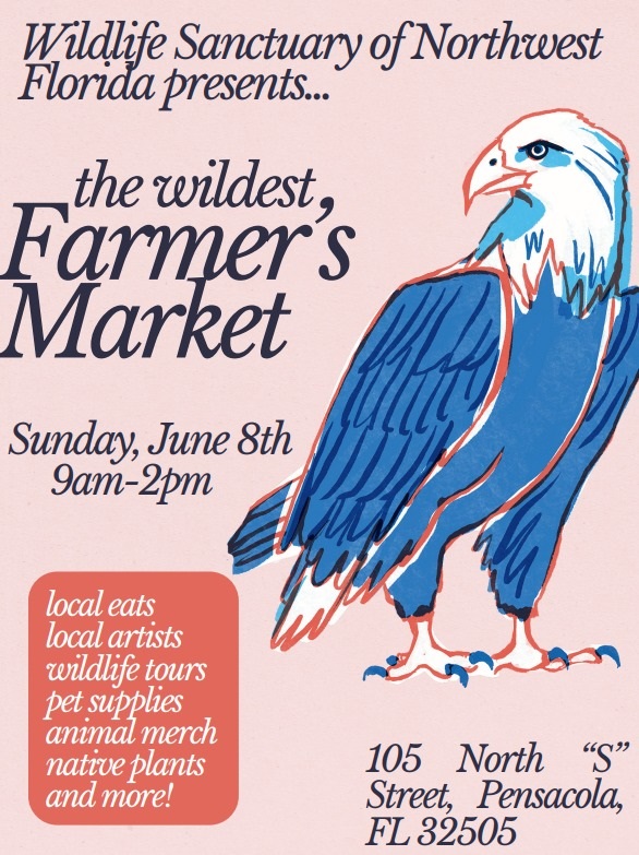 The Wildest Farmers’ Market