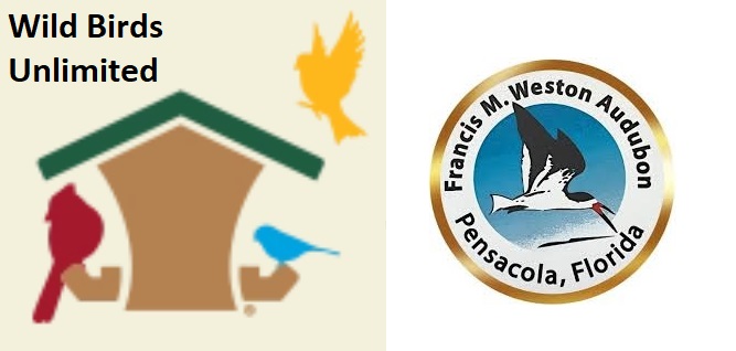 Fall Migration Presentation