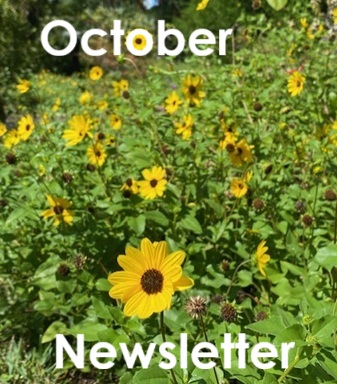 October 2025 Newsletter