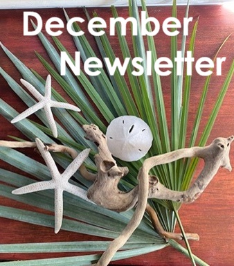 December 2025 Newsletter