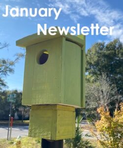 January 2026 Newsletter
