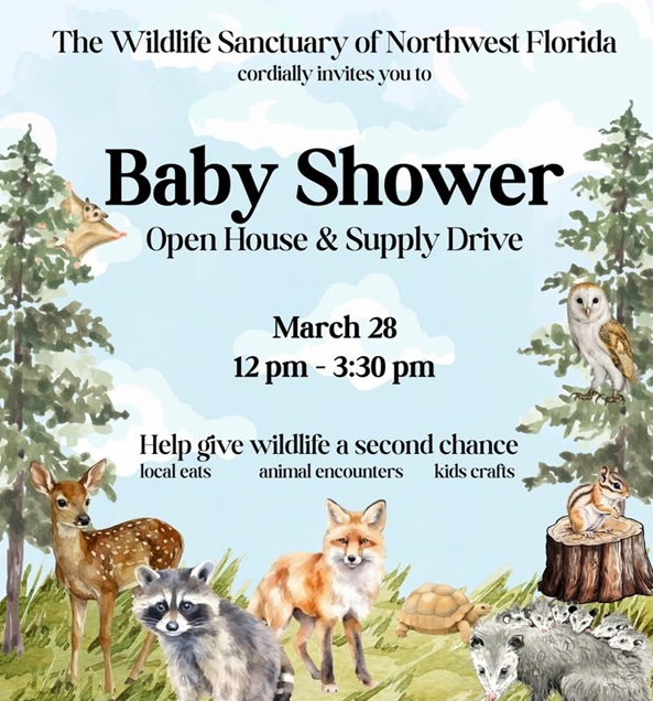 Spring Baby Shower at Wildlife Sanctuary of Northwest Florida