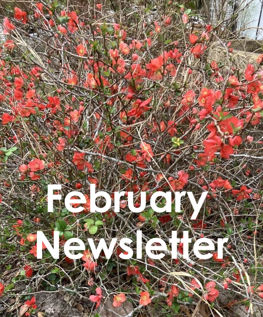 Feb 2026 Newsletter