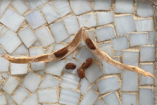 Presentation – Propagation