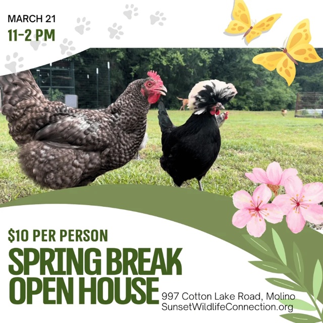 Sunset Wildlife Connection Spring Open House
