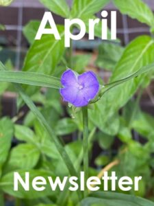 April 2026 Newsletter