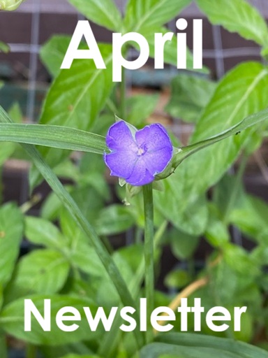 April 2026 Newsletter