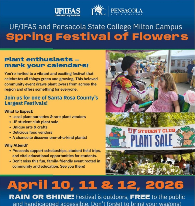 Spring Festival of Flowers