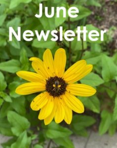 June 2026 Newsletter