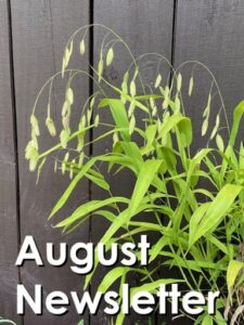 August Newsletter 2026